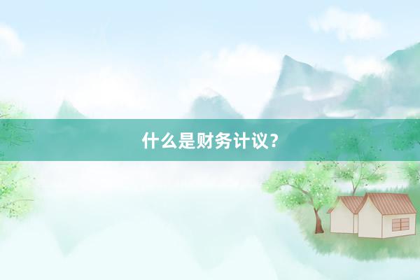 什么是财务计议？